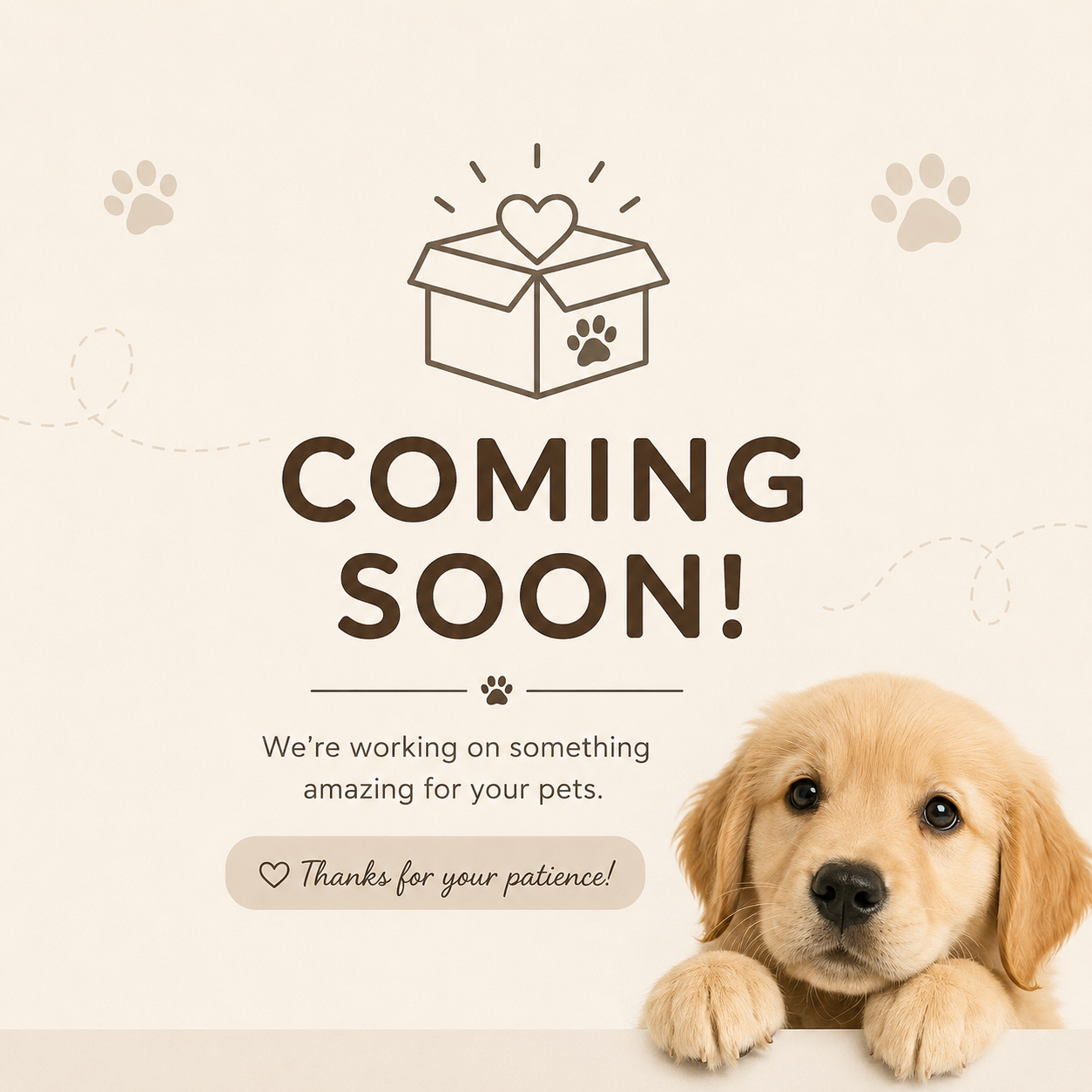 Dog Treats